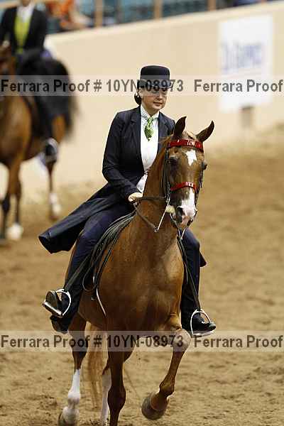 Proof 10yn-08973