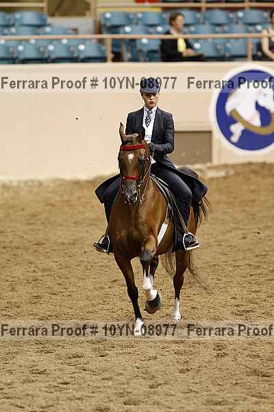 Proof 10yn-08977