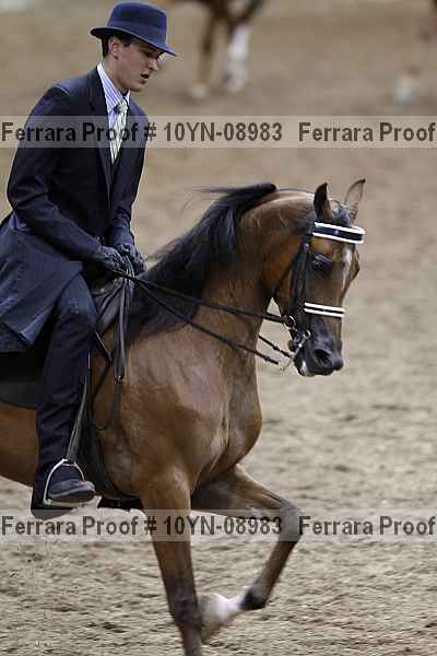 Proof 10yn-08983