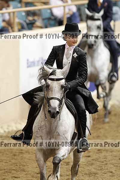 Proof 10yn-08995