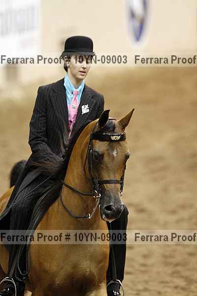 Proof 10yn-09003