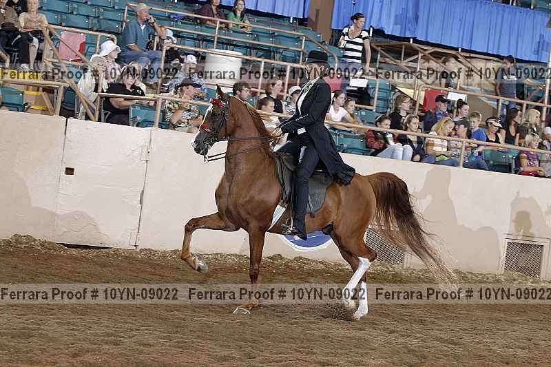 Proof 10yn-09022