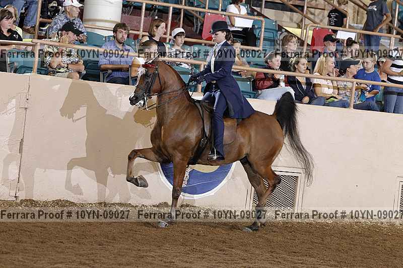 Proof 10yn-09027