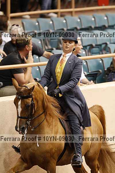 Proof 10yn-09030