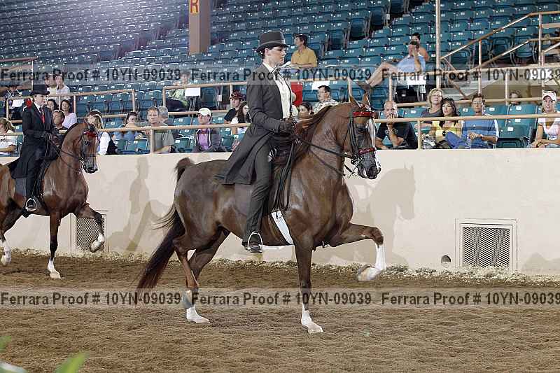 Proof 10yn-09039