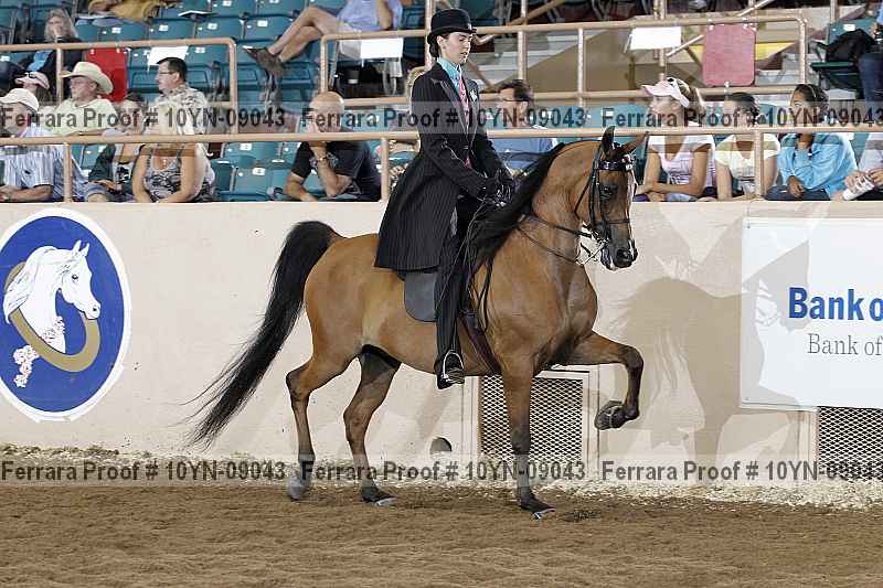 Proof 10yn-09043