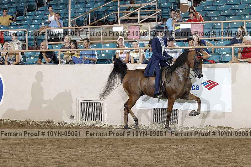 Proof 10yn-09051