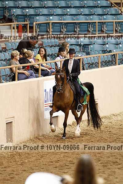 Proof 10yn-09056