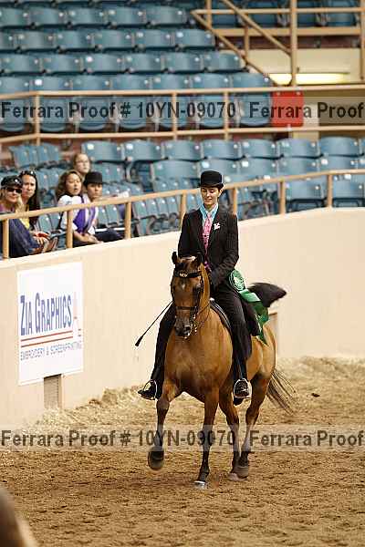 Proof 10yn-09070