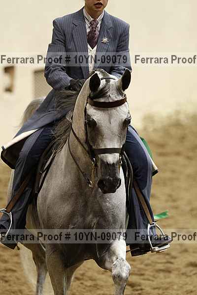 Proof 10yn-09079