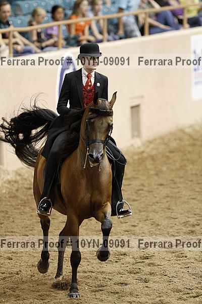 Proof 10yn-09091