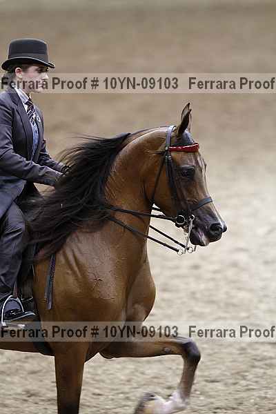 Proof 10yn-09103
