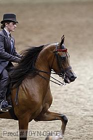 10yn-09103 proof