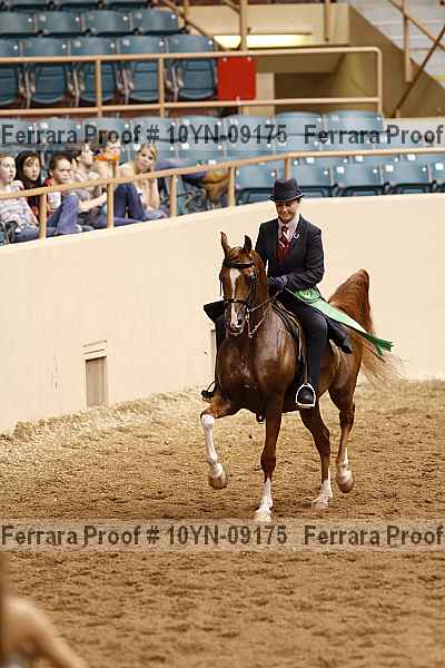 Proof 10yn-09175