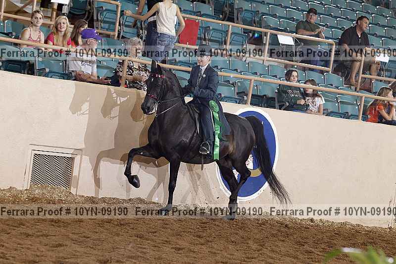 Proof 10yn-09190