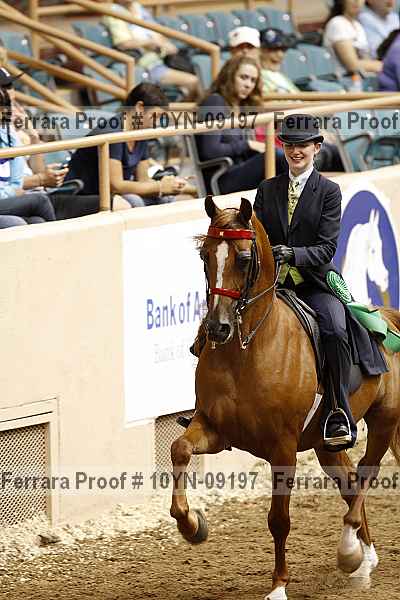 Proof 10yn-09197