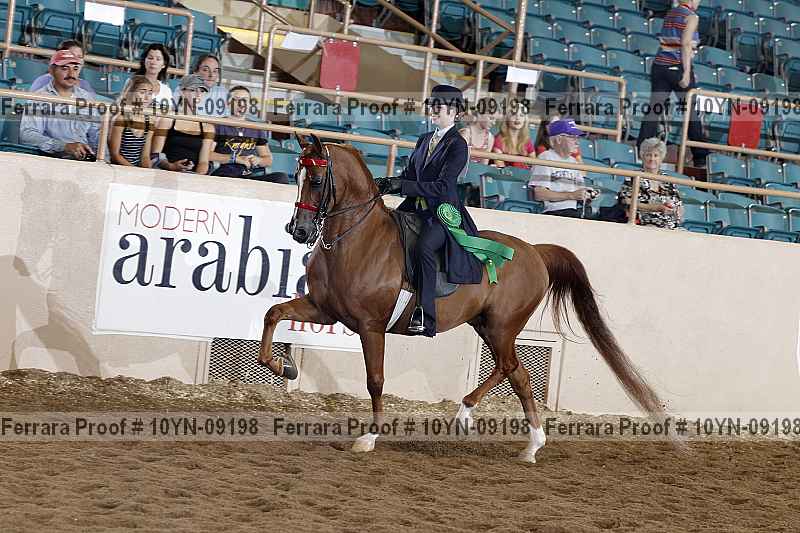 Proof 10yn-09198