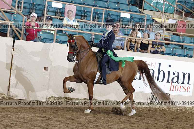 Proof 10yn-09199