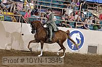 10yn-13845 proof