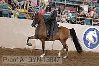 10yn-13847 proof