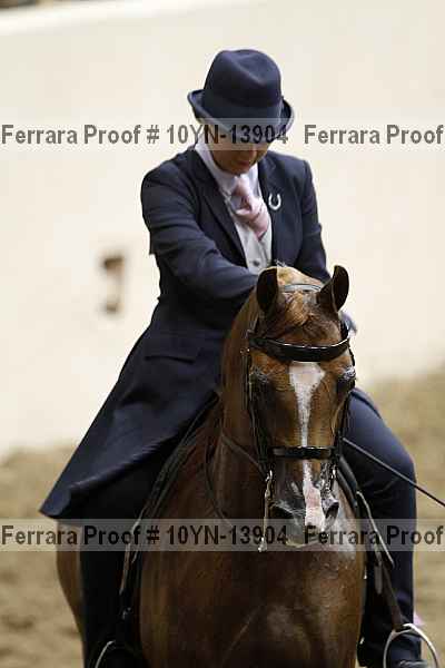 Proof 10yn-13904