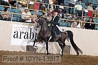 10yn-13917 proof