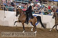 10yn-13924 proof