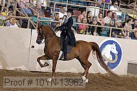 10yn-13962 proof