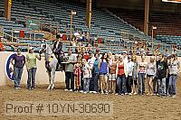 10yn-30690 proof