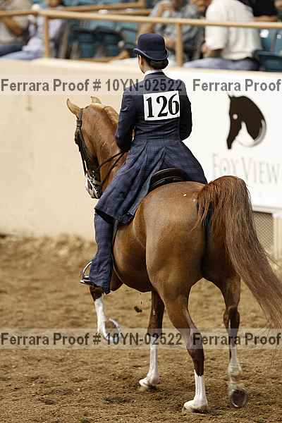 Proof 10yn-02522