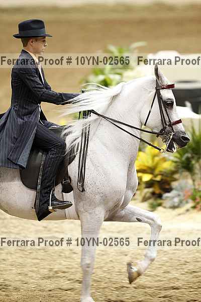 Proof 10yn-02565