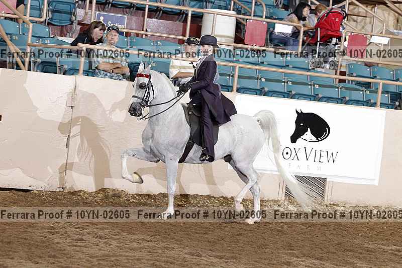 Proof 10yn-02605