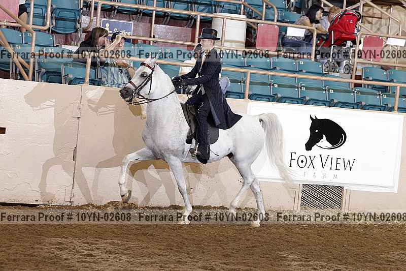 Proof 10yn-02608