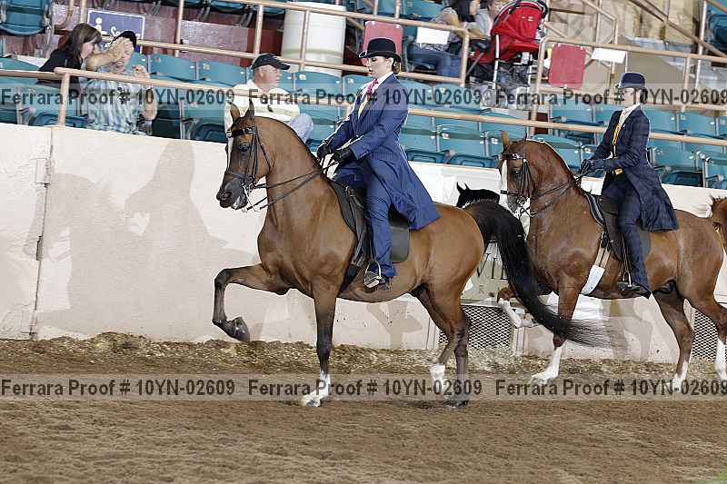 Proof 10yn-02609