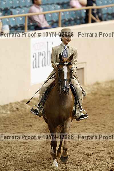 Proof 10yn-02666