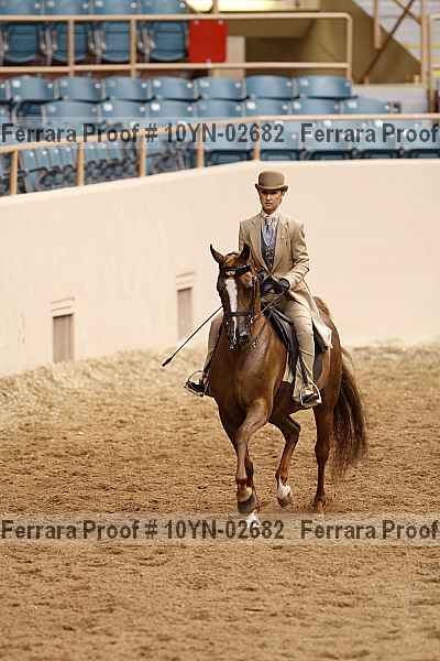 Proof 10yn-02682