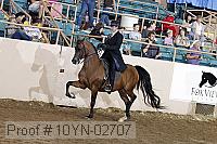 10yn-02707 proof
