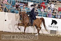 10yn-02720 proof