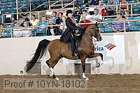 10yn-18102 proof