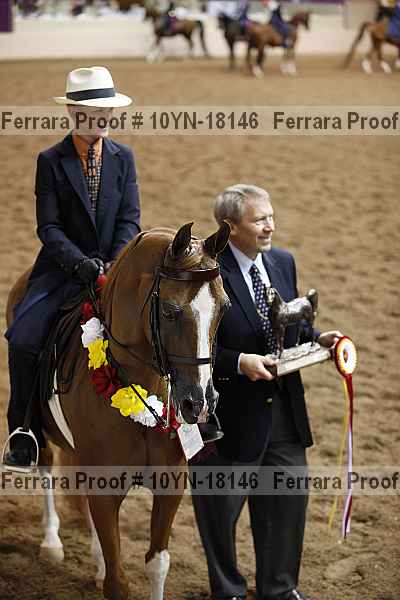Proof 10yn-18146