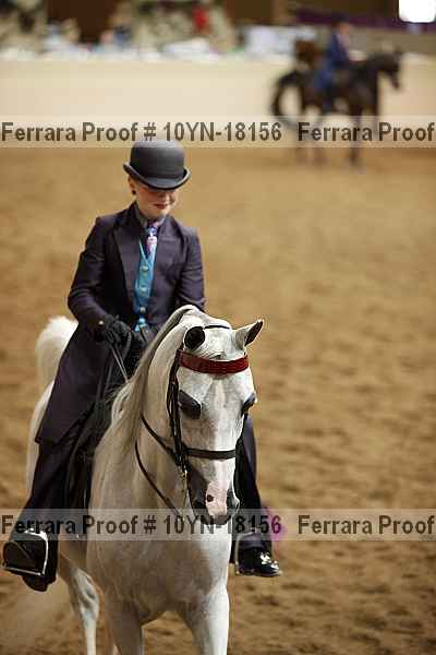 Proof 10yn-18156