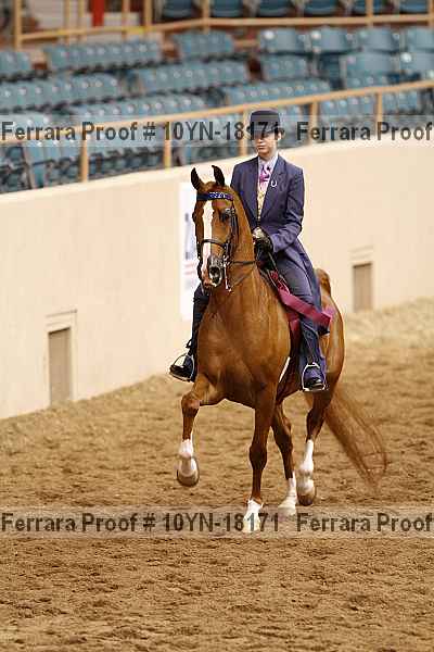 Proof 10yn-18171