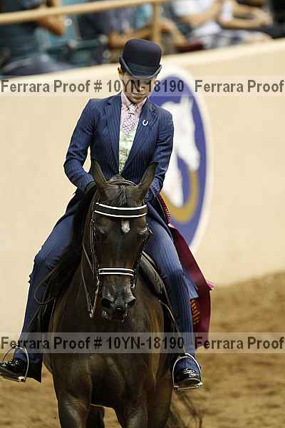 Proof 10yn-18190