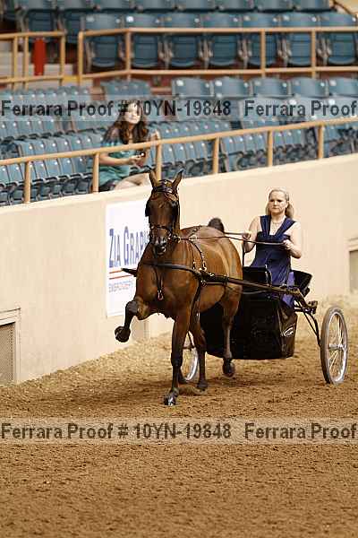 Proof 10yn-19848