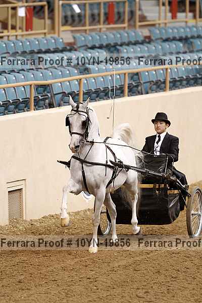 Proof 10yn-19856