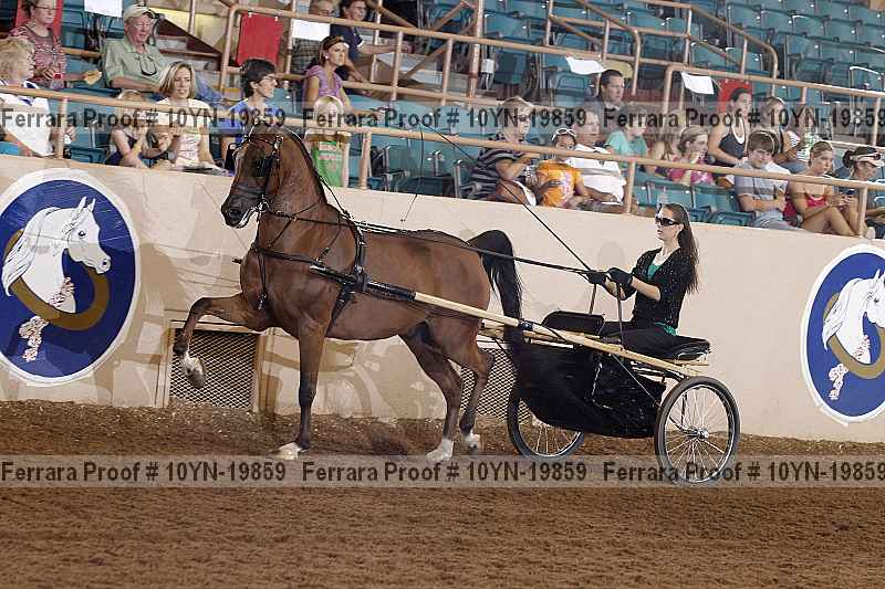 Proof 10yn-19859