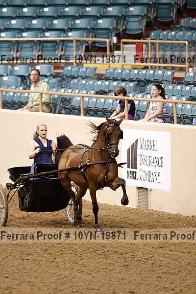 Proof 10yn-19871