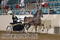 10yn-19875 proof