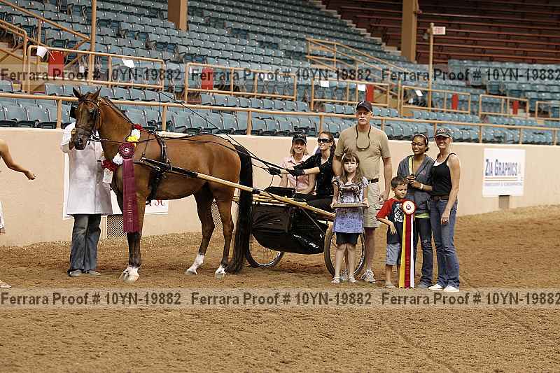 Proof 10yn-19882