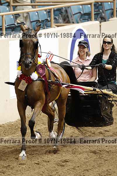 Proof 10yn-19884